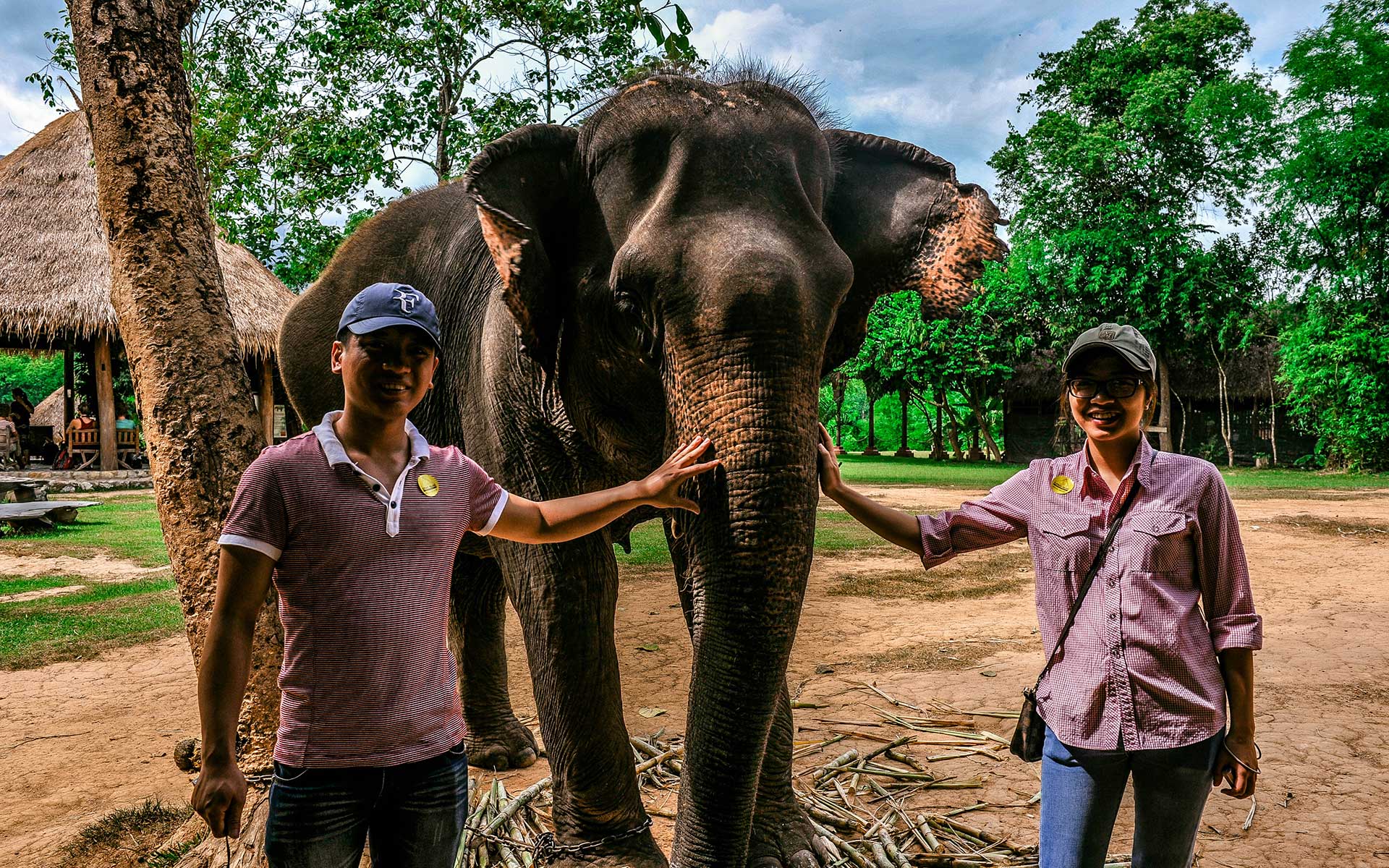 Elephant Village Ban Xieng Lom